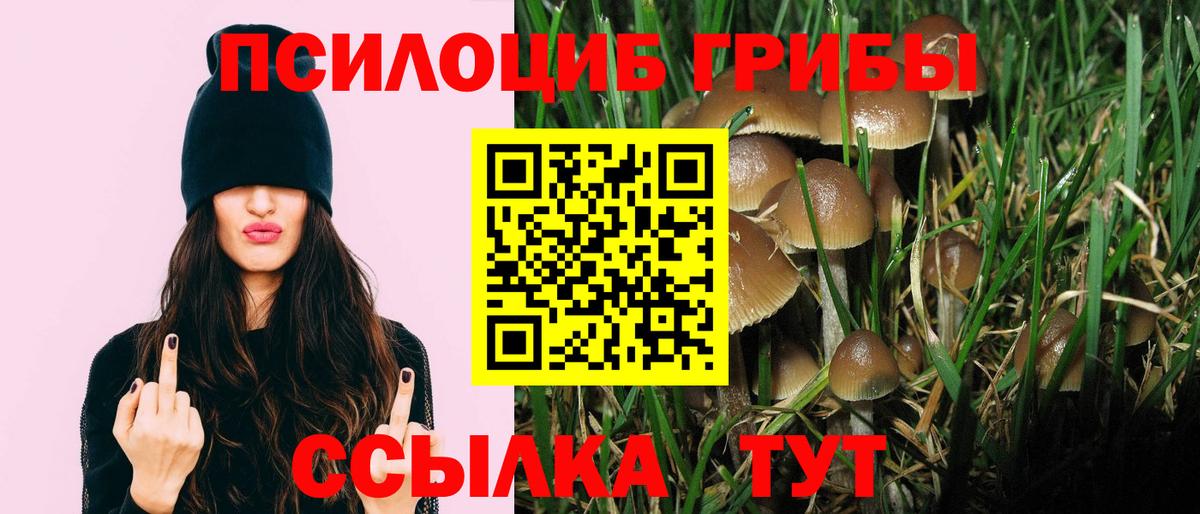 Галлюциногенные грибы ЛСД  Вход с VPN  Назарово 